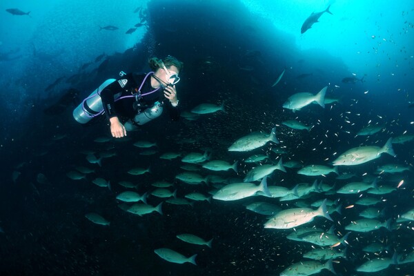 Richelieu Rock dive site. Similan Islands, Thailand.
