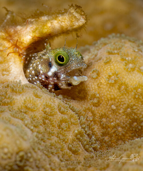 Roatan-2026-07-11 132-Instagram.jpg
