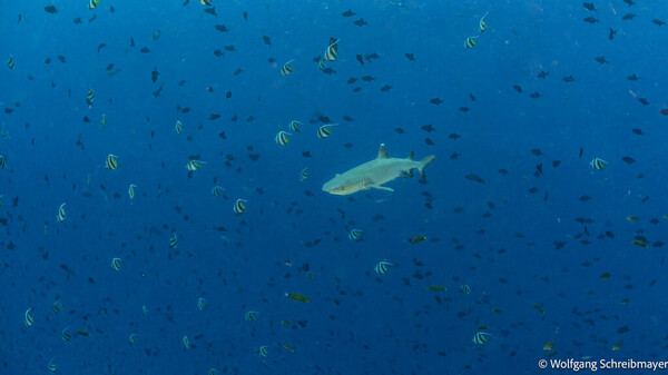Omadhoo_0010.jpg