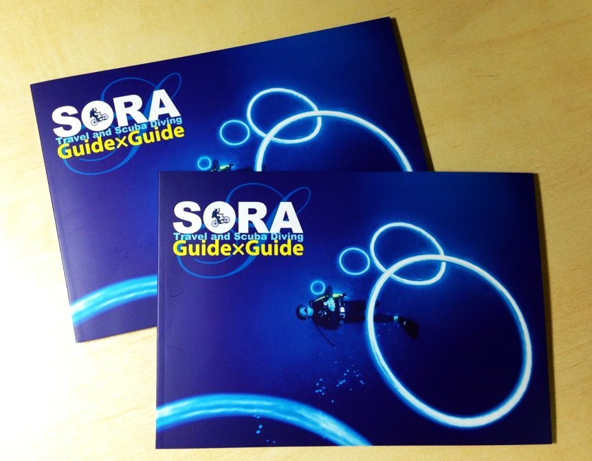 Sora-guide-x-guide.jpg