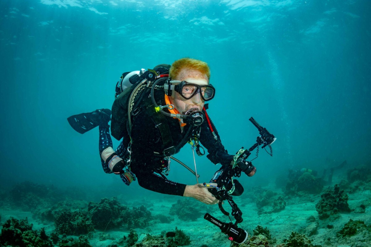More information about "The other face of underwater photography: ethical dilemmas"