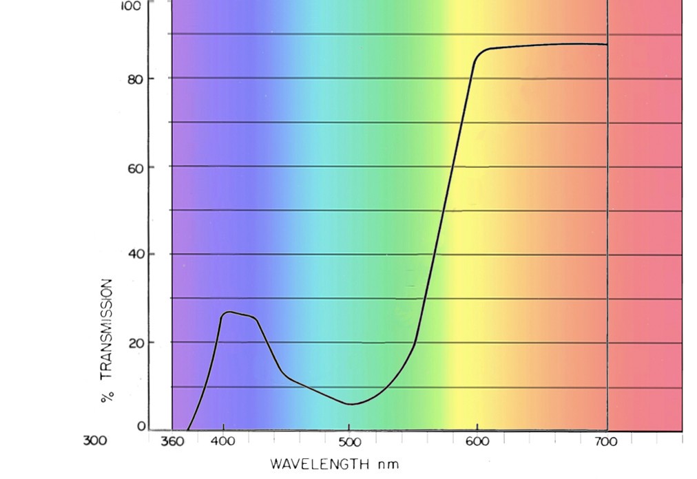 Filter Graph.jpg