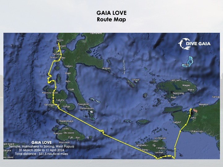 GAIA LOVE - Route Map.jpeg