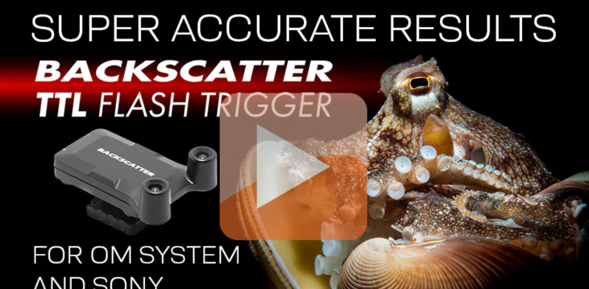 More information about "Backscatter Smart Control Optical TTL Flash Trigger"