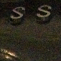 stam_crop_1.png
