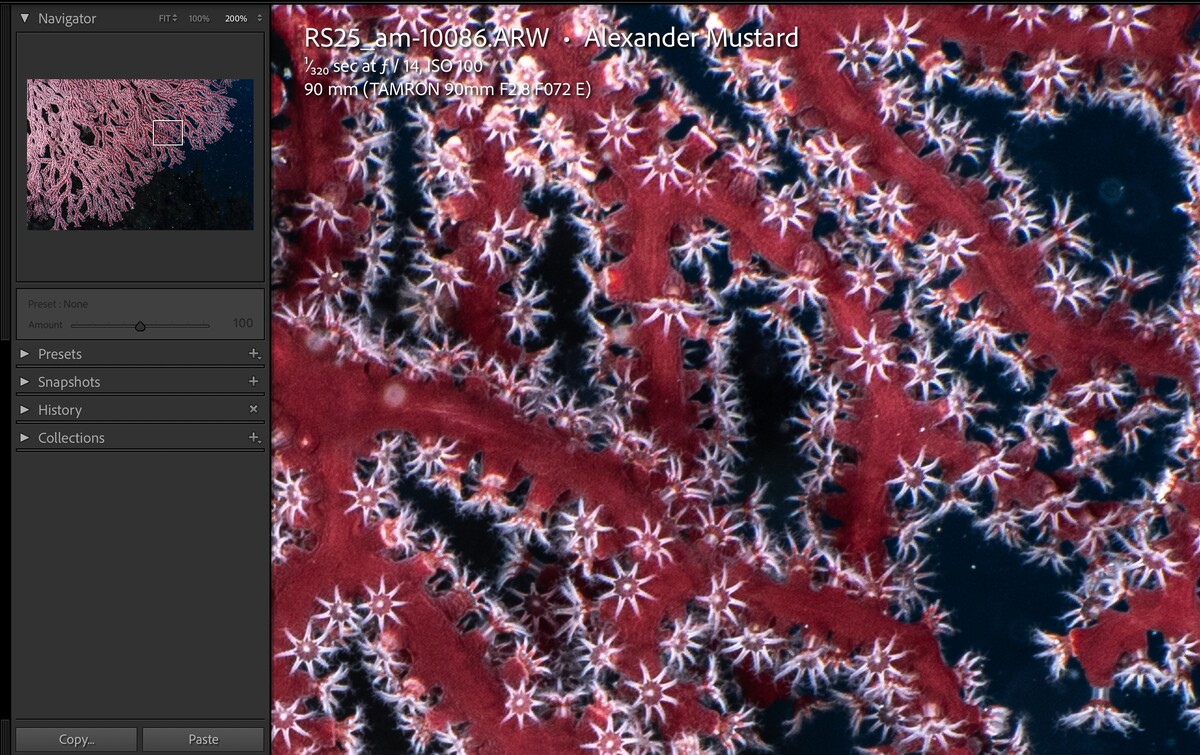 Screenshot 2025-06-18 at 20.10.45.jpg