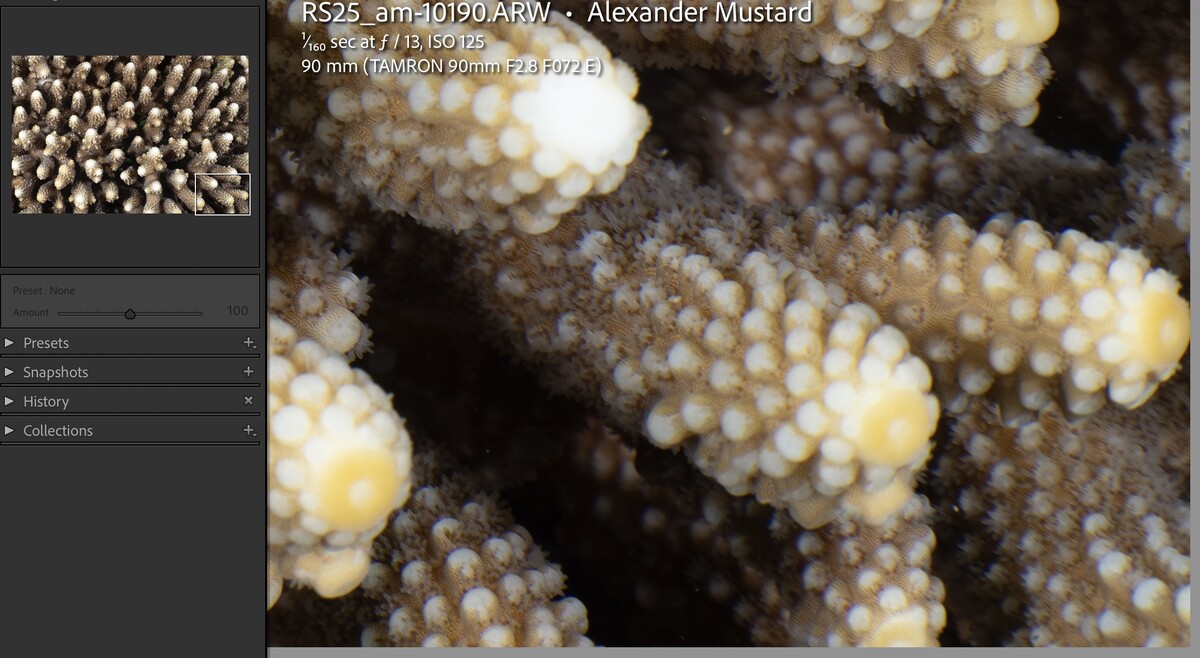 Screenshot 2025-06-18 at 20.12.53.jpg