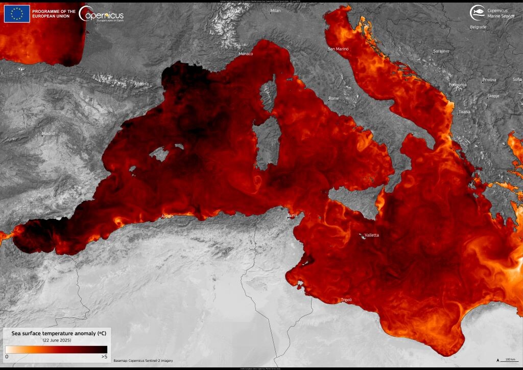 20250625_Mediterranean SST.jpg