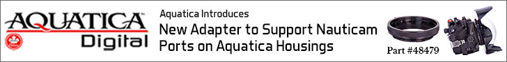 advertisement_alt