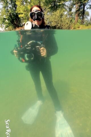 IMG_1339.jpeg