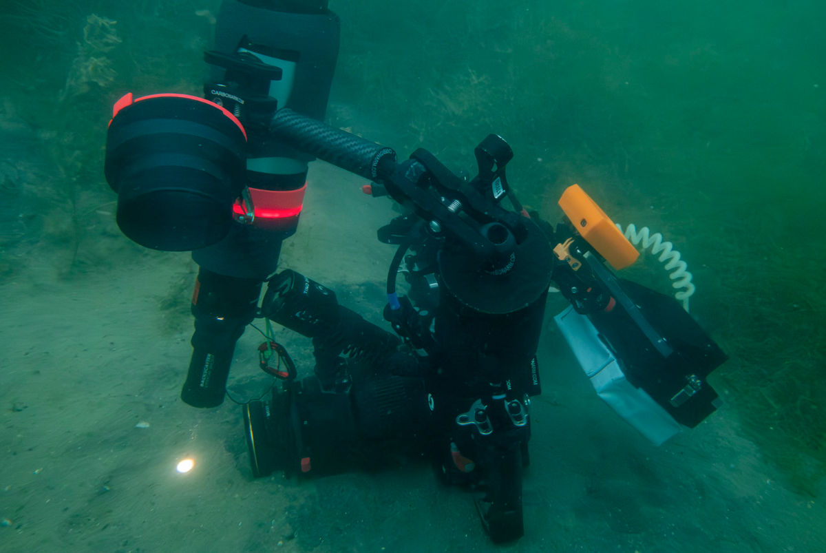 Bildschirmfoto 2026-01-30 um 19.46.01.png