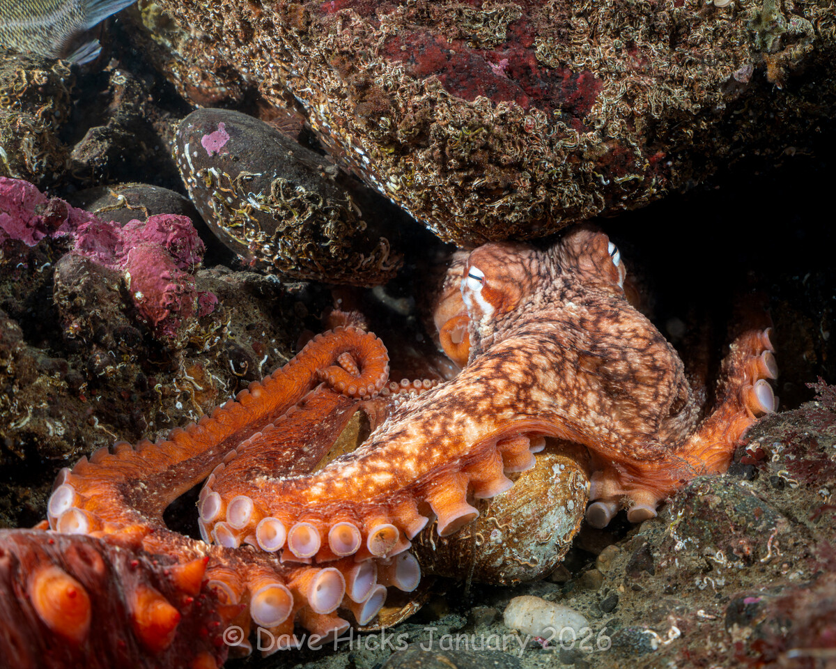 Dalco and Sunrise January 17, 2026 (230 of 289) (Ext).jpg