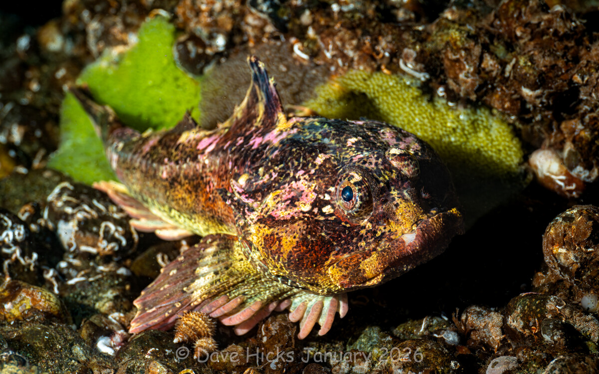 Dalco and Sunrise January 17, 2026 (40 of 289) (Ext).jpg