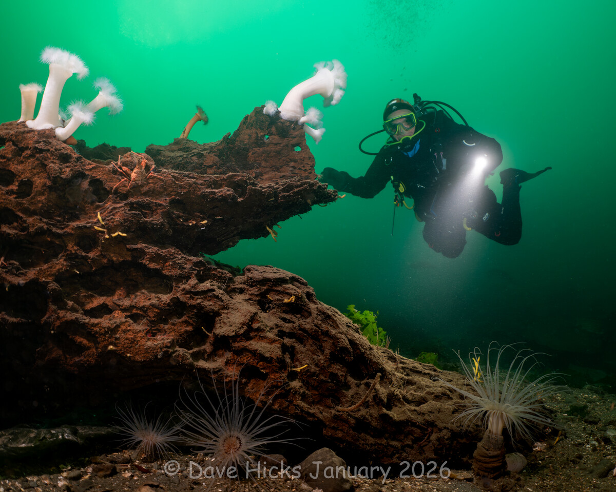 Sund Rock January 07, 2026 (362 of 399).jpg