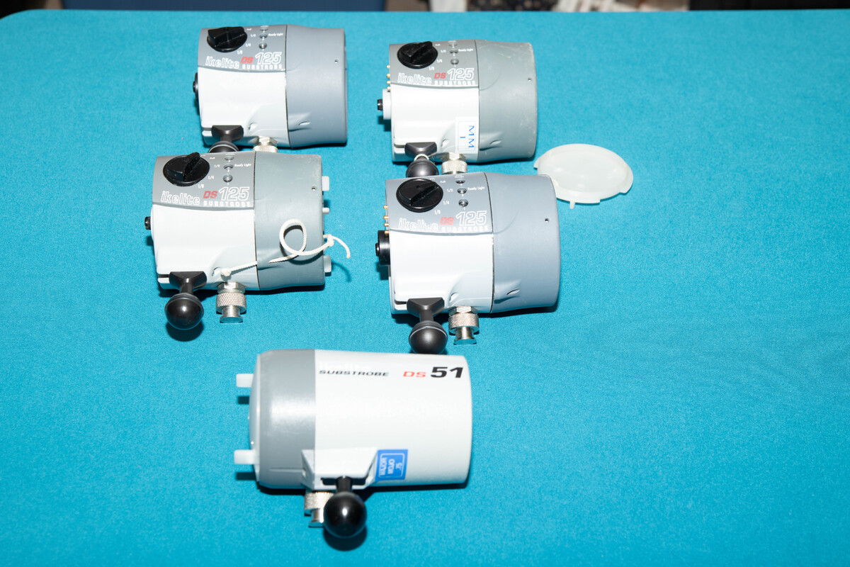 Ikelite DS 51 and DS 125.jpg