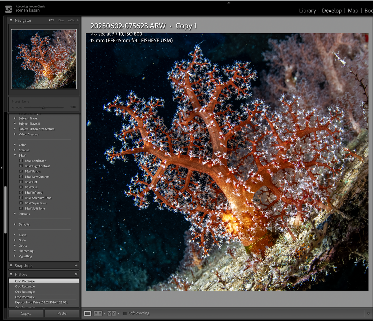 Screenshot 2026-02-08 at 11.29.42.png