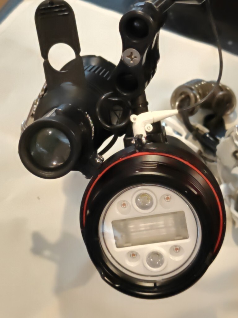 Atom Snoot Attachment (8).jpg