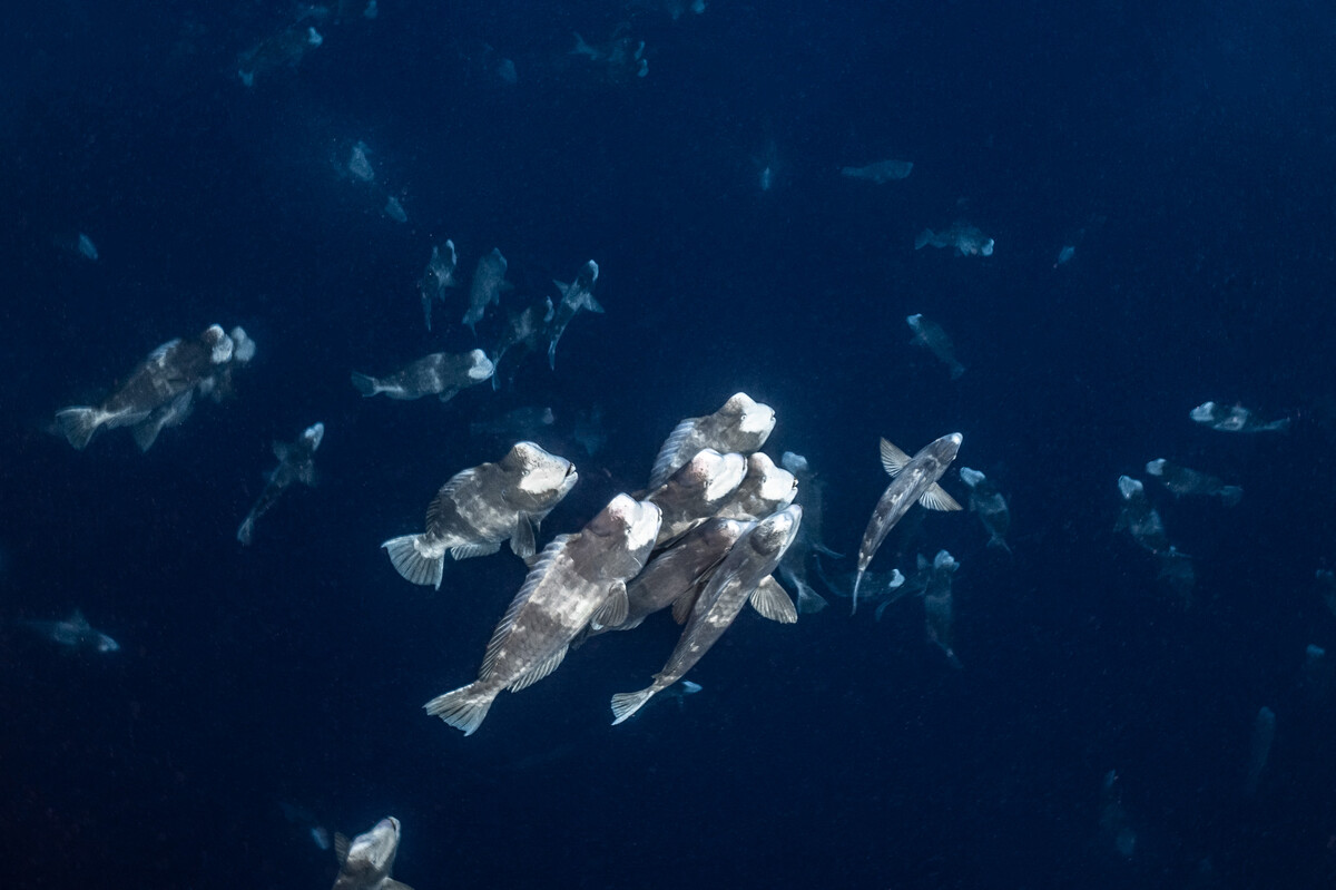 Solitude World_DSC7634-EditLow_Res_No_watermark (2).jpg