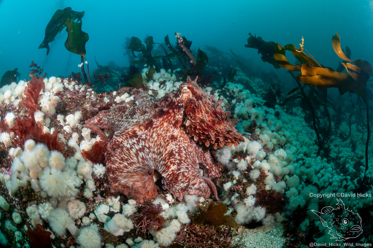 Gods Pocket April 2026 April 19, 2026 241-Edit.jpg