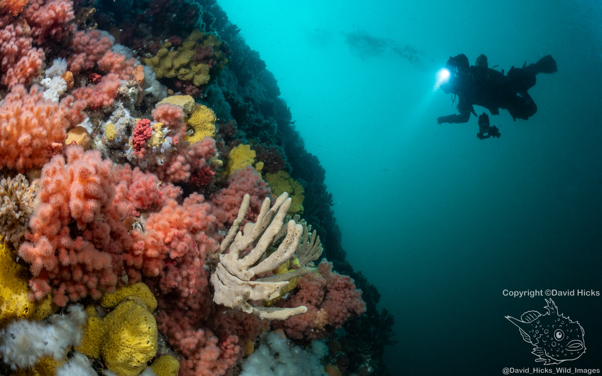 Gods Pocket April 2026 April 19, 2026 275-Edit.jpg