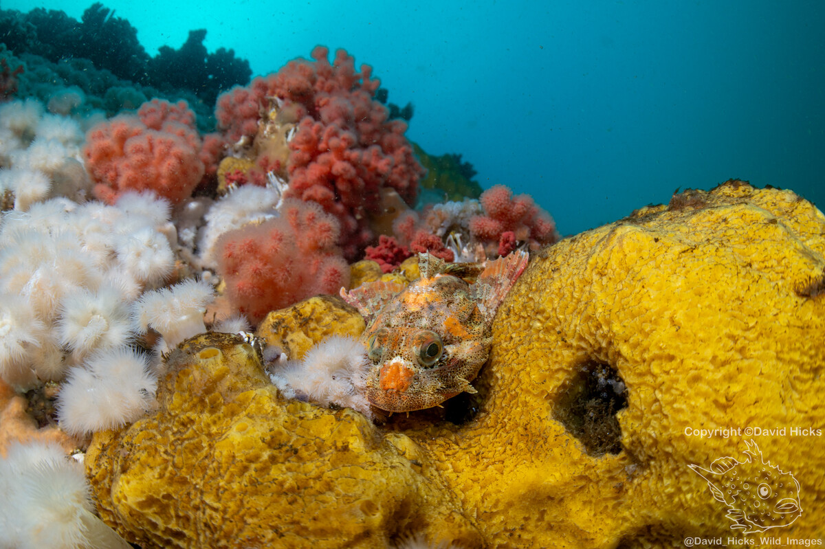 Gods Pocket April 2026 April 19, 2026 316.jpg