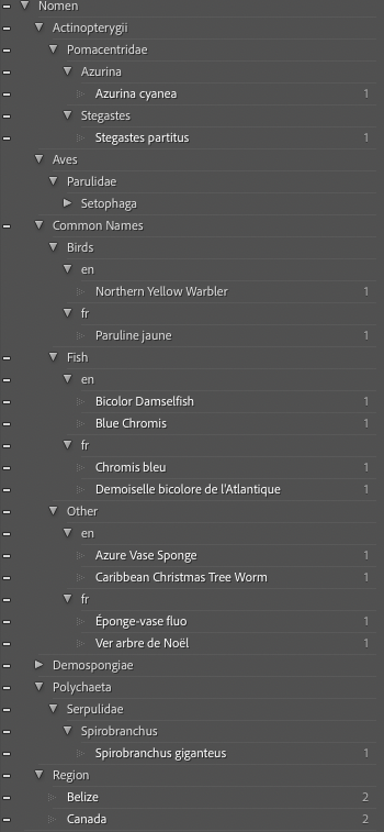 Screenshot 2026-04-17 at 3.35.33 PM.png