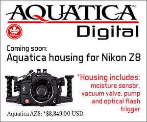 Aquatica