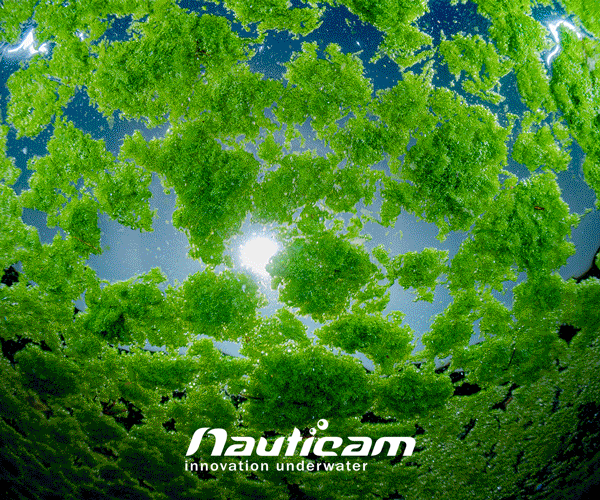 Nauticam