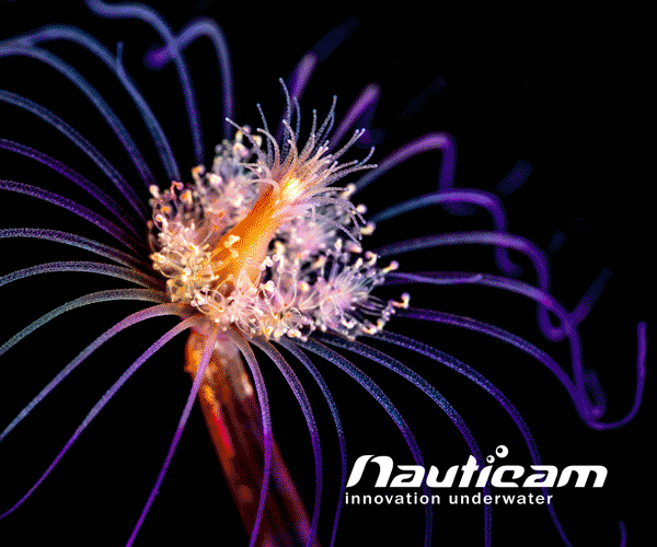 Nauticam