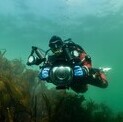Atlantic Diver