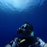 Oceanic Paparazzi