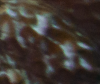 post-31049-0-48143100-1390421637_thumb.png