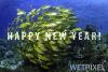 hny_18_600.jpg