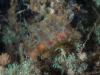 echeng140209_201006.jpg