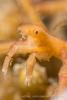 140205-Komodo_wainilu-225.jpg
