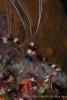 140212_Komodo_85983.jpg