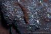140212_Komodo_85960.jpg