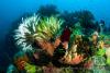 140207_Komodo_wainilu_83833.jpg