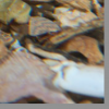 post-713-0-33628300-1522225298_thumb.png
