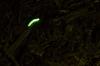 post-90621-0-56019500-1555506511_thumb.jpg