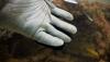 post-22245-0-24605000-1529306938_thumb.jpg
