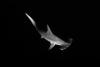 post-4522-0-95994200-1341771271_thumb.jpg