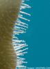 post-713-0-51768100-1342870420_thumb.jpg