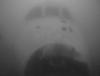 post-41834-0-24850000-1373102735_thumb.jpg