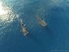 echeng130802_054759.jpg