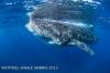 AH_WS5-8083.jpg