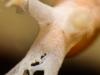 post-50926-0-75904900-1439107311_thumb.jpg