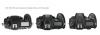 Nikon-D500-vs-D850-vs-D810-comparison-1.jpg