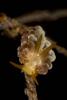 d610_ 81.JPG