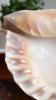 post-7335-0-02637500-1384693083_thumb.jpg